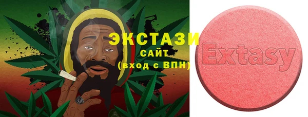 крисы Корсаков