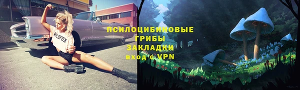 не бодяженный Краснотурьинск