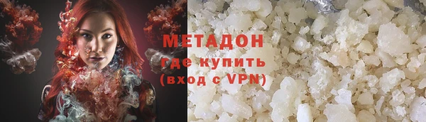 крисы Корсаков