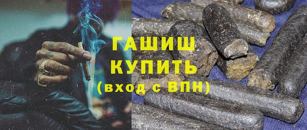 крисы Корсаков