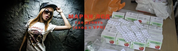 крисы Корсаков