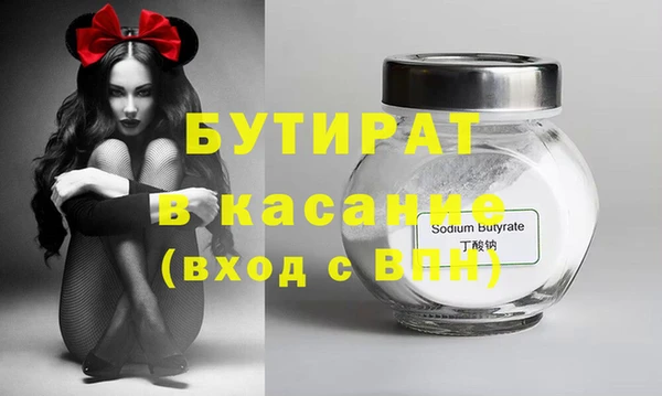 крисы Корсаков