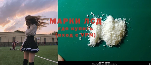 крисы Корсаков