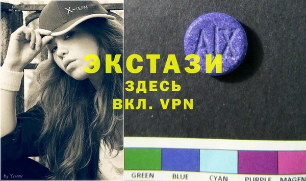 крисы Корсаков