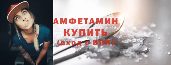 крисы Корсаков