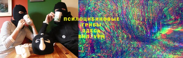 крисы Корсаков
