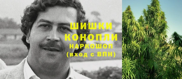 крисы Костерёво