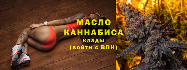 крисы Корсаков