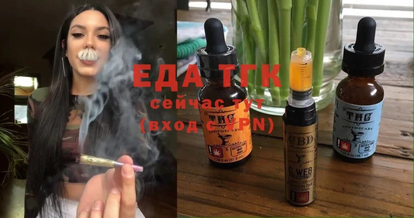 крисы Корсаков