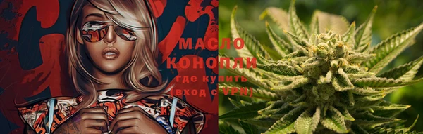 крисы Корсаков