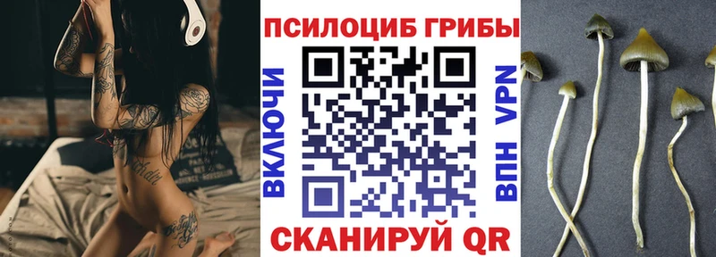 Купить  Аткарск  Псилоцибиновые грибы MAGIC MUSHROOMS 